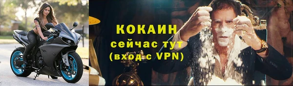 индика Покров