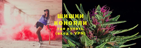 гидра Покровск